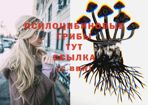 молекула духа Белоозёрский