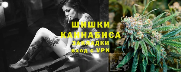 молекула духа Белоозёрский