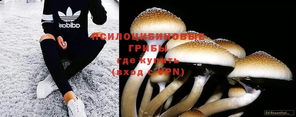 молекула духа Белоозёрский