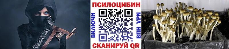 Галлюциногенные грибы прущие грибы  Горняк 